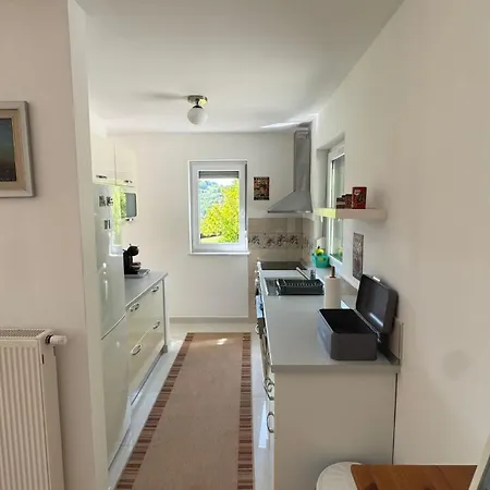 빌라 Frida 로가스카슬라티나