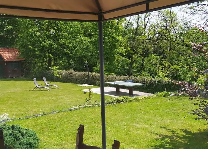 Frida Рогашка Слатина