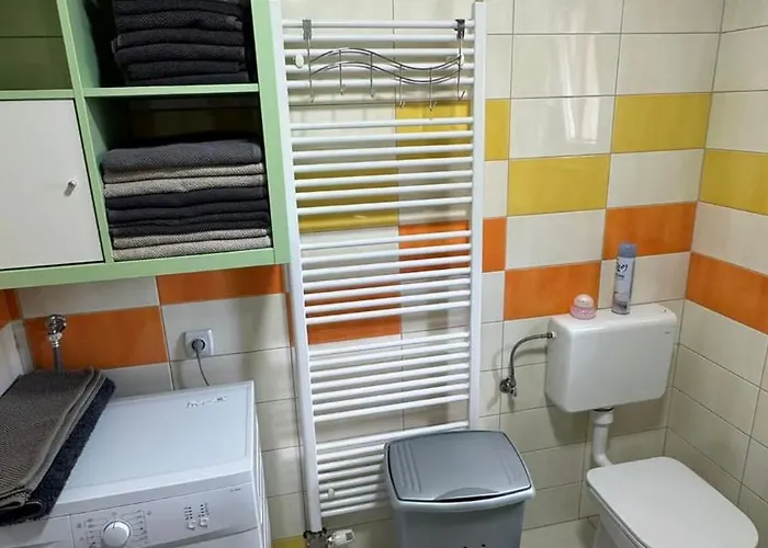 Frida * Рогашка Слатина